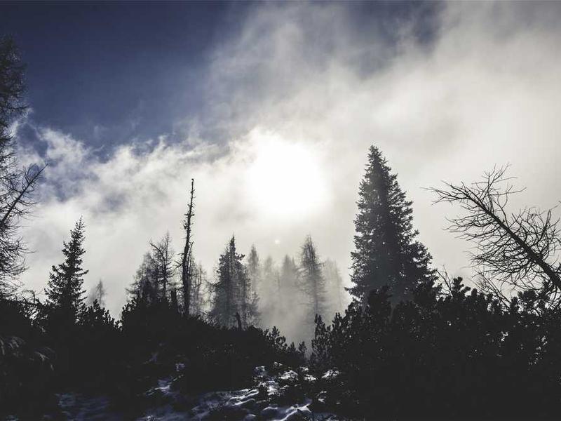 业财融合的数字化转型实践